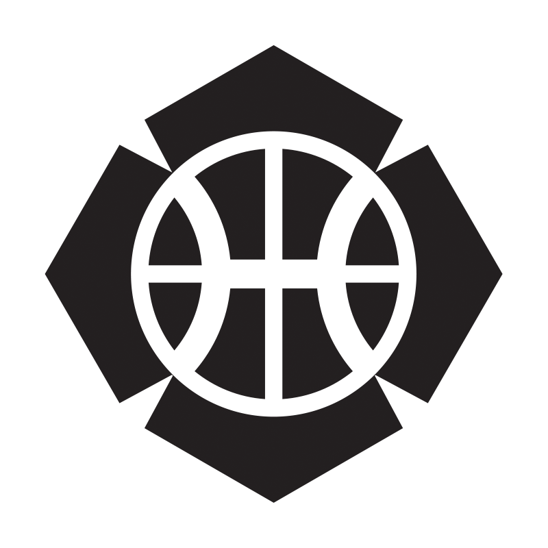 Baseline Basketball Wordpress Theme Demo